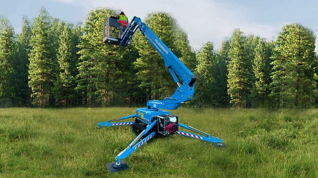 Fotomontage zum Thema Baumschnitt